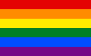 Source: http://en.wikipedia.org/wiki/Rainbow_flag