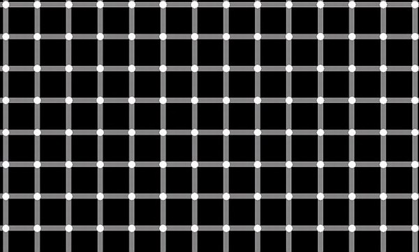 Hermann-grid illusion 